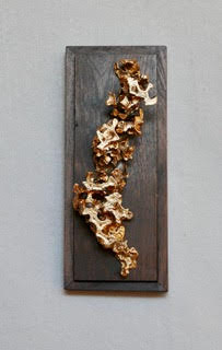 Darin’s Golden Fruit